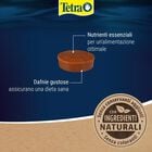 TetraMin Holiday 30 gr