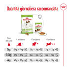 Royal Canin Dog Adult X-Small 500 gr