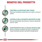 Royal Canin Veterinary Diet Dog Satiety Weight Management 400 gr