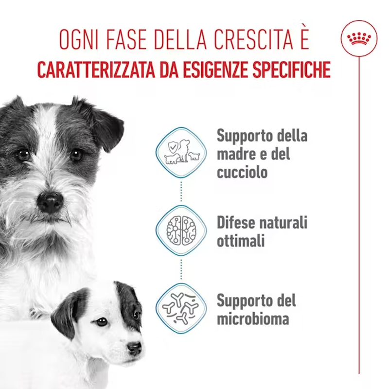 Royal Canin Dog Mini Starter 1 kg
