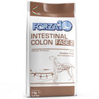 Forza 10 Dog Active Intestinal Colon Fase 2  4 kg