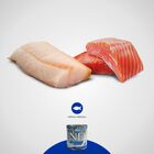 Farmina N&D Ocean Dog Adult Mini Salmone e Merluzzo 140 gr