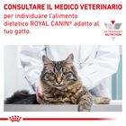 Royal Canin Veterinary Diet Cat Calm 2 kg