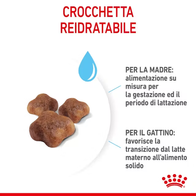 Royal Canin Cat Adult e Kitten Mother and Babycat 2 kg