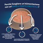 Monopro Dog Adult All breeds Maiale 400 gr