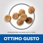 Hill's Science Plan Dog Senior Vitality Small & Mini Mature Adult 7+ al Pollo e Riso 1,5 kg - Scad Aprile 2026