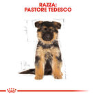 Royal Canin Dog Puppy German Shepherd 12 kg