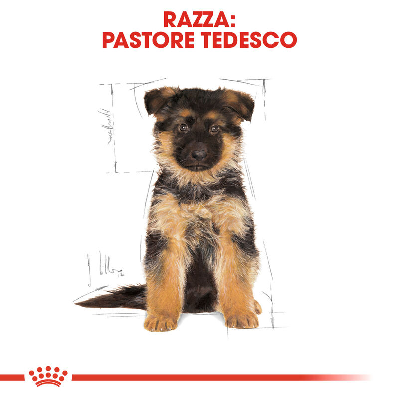 Royal Canin Dog Puppy German Shepherd 12 kg