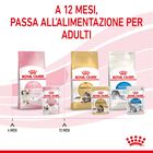 Royal Canin Cat Kitten Loaf  85 gr