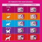 Frontline Tri-act antiparassitario cani 2-5 kg - 6 pipette