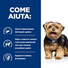 Hill's Prescription Diet Dog I/d 1,5 kg - Scad. Novembre 25