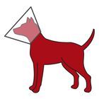 Trixie Collare Elisabetta con Strap Tg L/XL 28 cm