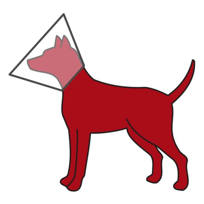 Trixie Collare Elisabetta con Strap Tg L/XL 28 cm