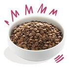 Edgard & Cooper Dog Adult Cervo e Anatra 7 kg