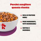 Real Bowl Rag&ugrave; per gatti adulti Manzo 80 gr