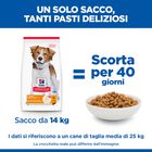 Hill's Science Plan Dog Adult Medium Light al Pollo 14 kg