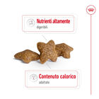 Royal Canin Dog Mini Adult 8 kg + 1kg Omaggio