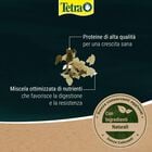 Tetra Pond Flakes 1 lt