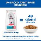 Hill's Science Plan Hypoallergenic Dog Adult Medium Monoprotein Salmone 14Kg