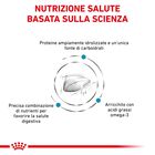 Royal Canin Veterinary Diet Cat Hypoallergenic 2,5 kg