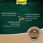 Tetra Reptomin Energy 100 ml