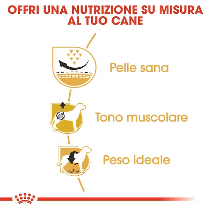 Royal Canin Dog Adult e Senior Carlino 1,5 kg