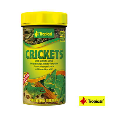 Tropical Cricketts 10 g