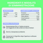 Schesir Cat Adult Tonnetto con Cernia in jelly 70 gr Schesir Cat Adult Tonnetto con Cernia in jelly 70 gr