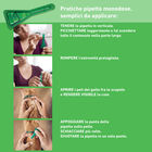 Frontline Combo Spot-On per Gatti e furetti 6 pz