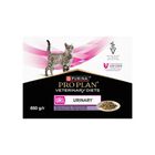 Purina Pro Plan Veterinary Diets Cat Urinary al Tacchino 10 pz x 85 gr