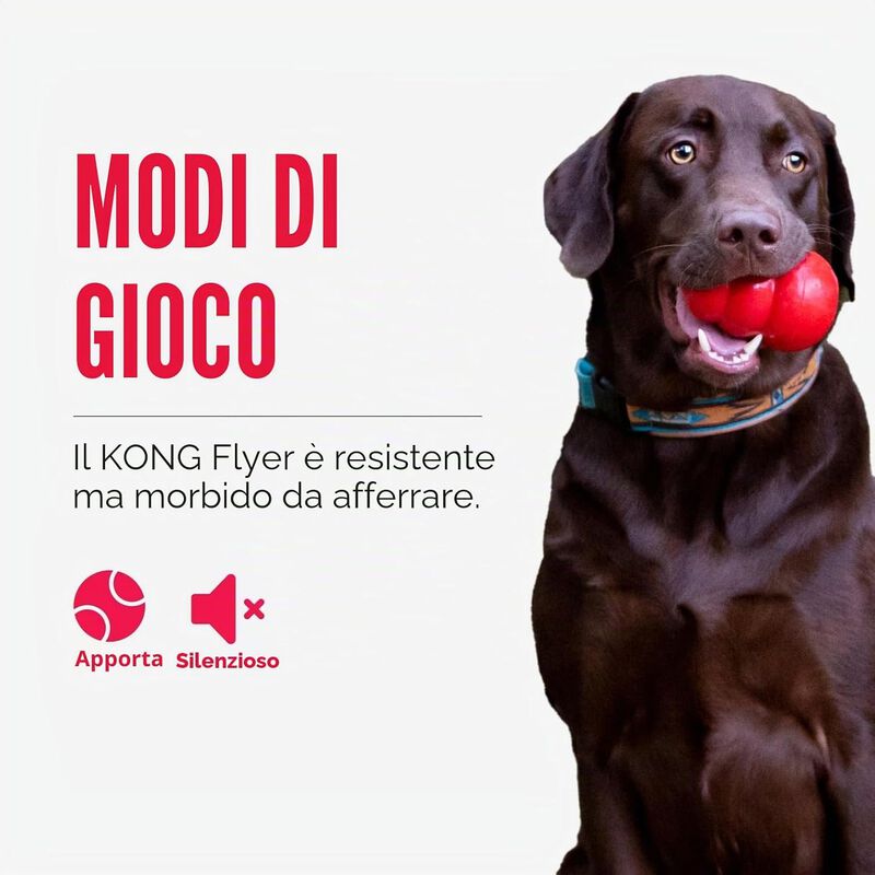 Kong Flyer per cani L Rosso