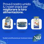 N&D Farmina Ocean Cat Adult Aringa, Zucca & Arancia 300 gr