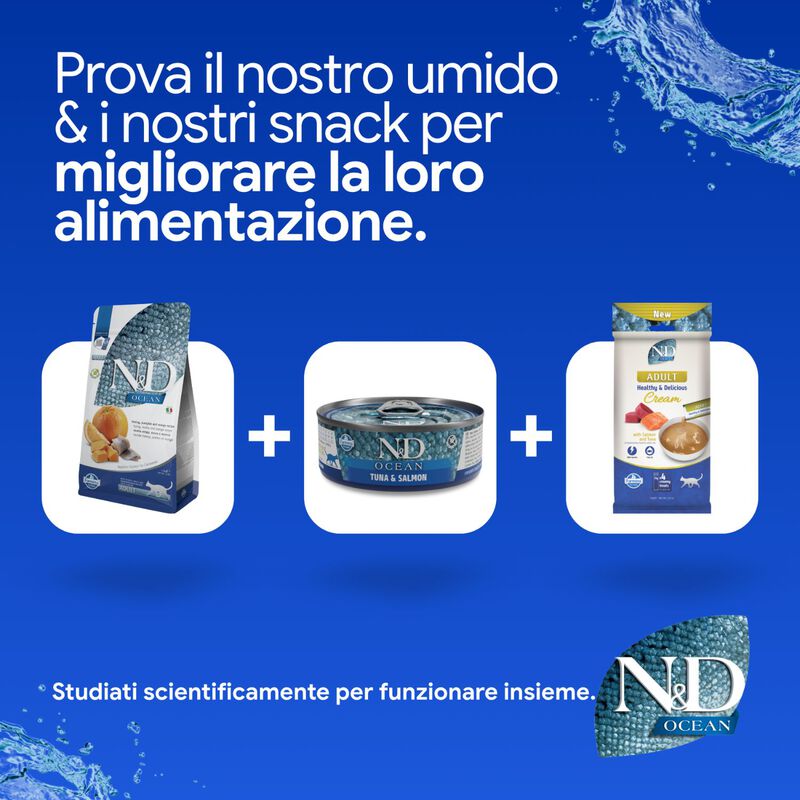 N&D Farmina Ocean Cat Adult Aringa, Zucca & Arancia 300 gr