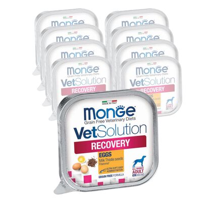 Monge VetSolution Dog Diet Recovery 150 gr