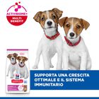 Hill's Science Plan Puppy Small & Mini con Agnello e Riso 1,5 kg