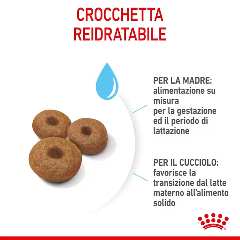 Royal Canin Maxi Starter Mother&Babydog 4 Kg
