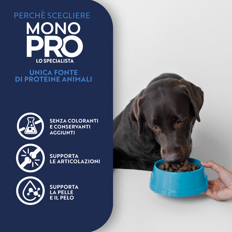 Monopro Dog Medium&Maxi Manzo 12kg