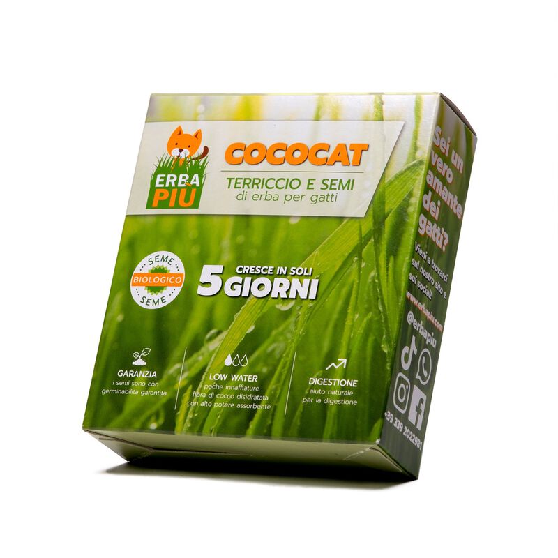 Erba per gatti Cococat Erbapiù