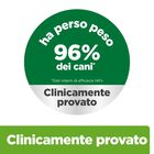 Hill's Prescription Diet Dog Metabolic Obesity  con Pollo 1,5 kg