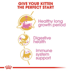 Royal Canin Cat Kitten Maine Coon 400 gr