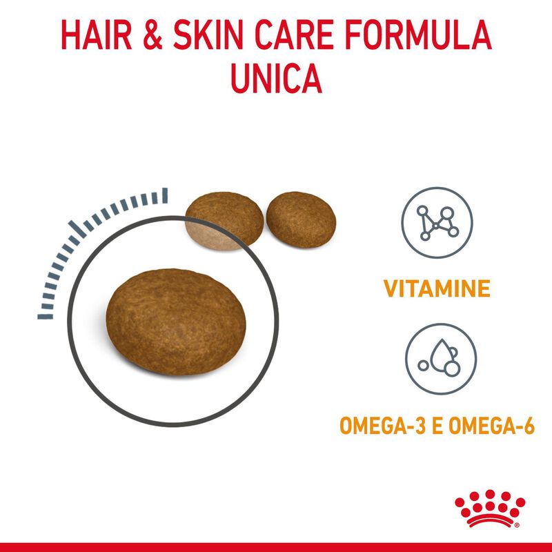 Royal Canin Cat Adult Hair and Skin Care 2 kg