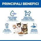 Hill's Sience Plan Kitten al Salmone 1,5 kg