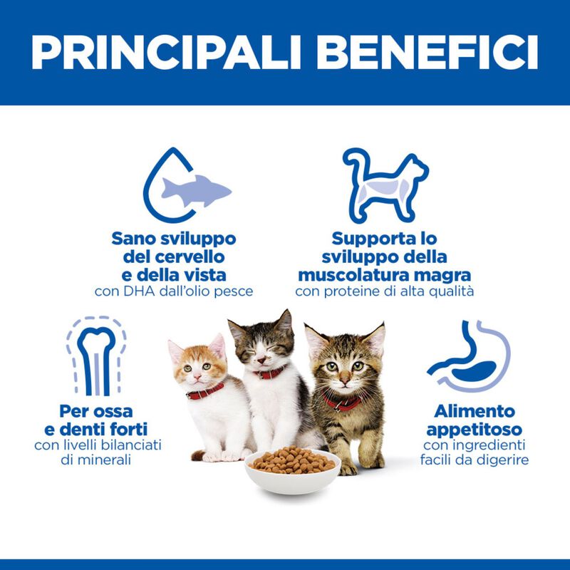Hill's Sience Plan Kitten al Salmone 1,5 kg