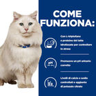 Hill's Prescription Diet Cat c/d Multicare Stress 8 kg