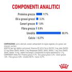 Royal Canin Cat Adult Indoor Sterilized Jelly 85 gr