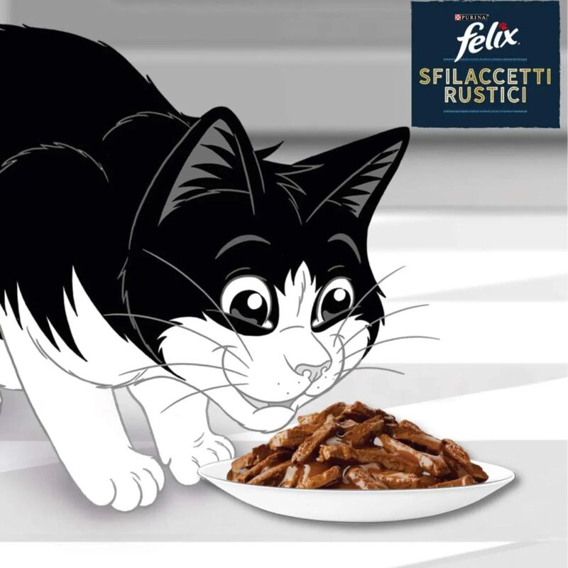 Felix Cat Sfilaccetti Rustici Manzo Pollo Anatra e tacchino 44 pz x 80 gr
