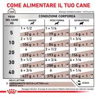 Royal Canin Veterinary Diet Dog Adult Hepatic 200 gr