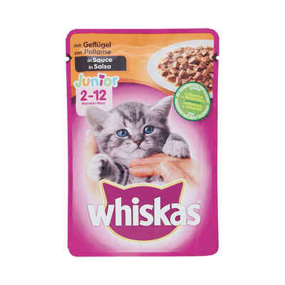 Whiskas Cat Junior con Pollo in salsa 100 gr