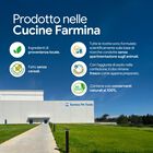 N&D Farmina Pumpkin Neutered Cat Agnello e Mirtillo 300 gr