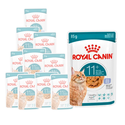 Royal Canin Cat Senior 11+ anni in jelly 85gr